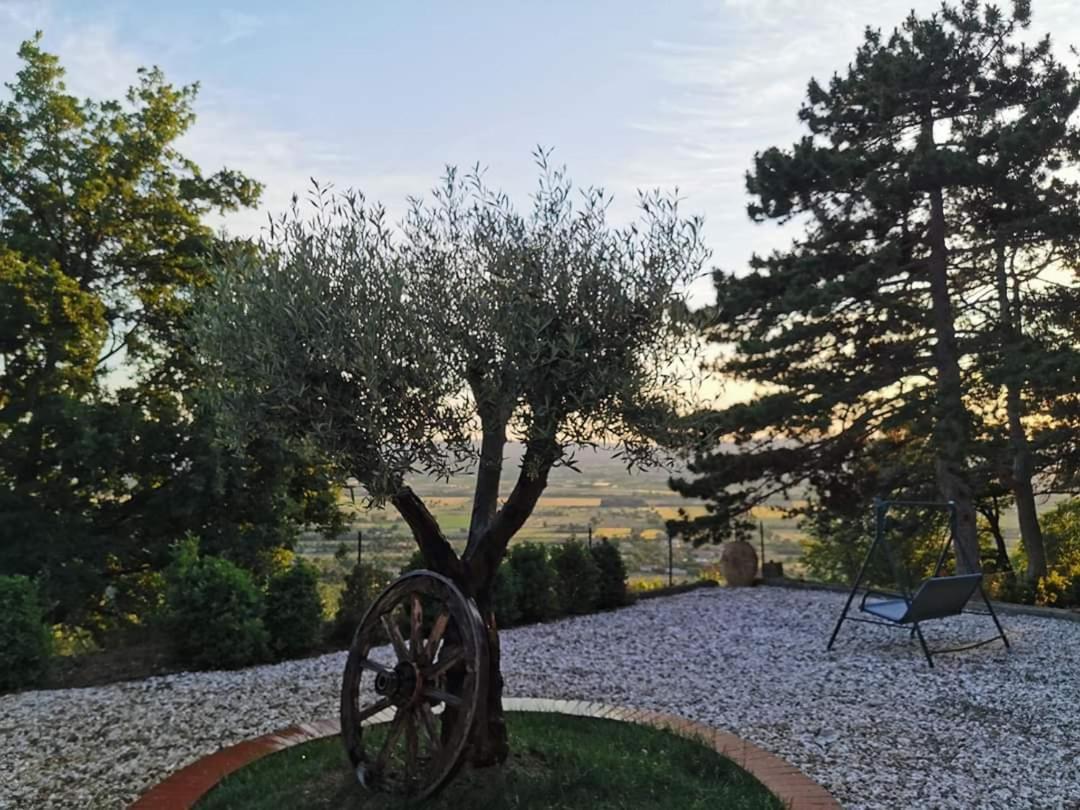 Vila Casina Dei Sogni Arezzo Exteriér fotografie