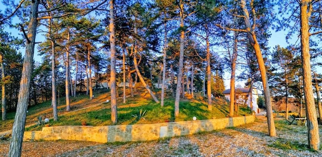 Vila Casina Dei Sogni Arezzo Exteriér fotografie