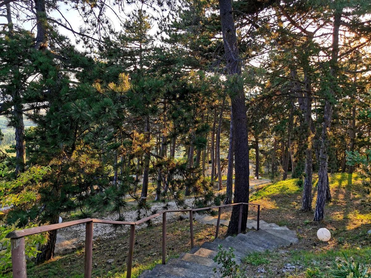 Vila Casina Dei Sogni Arezzo Exteriér fotografie